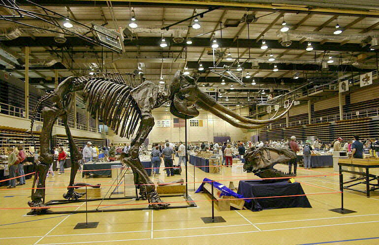 MAPS Fossil Show
