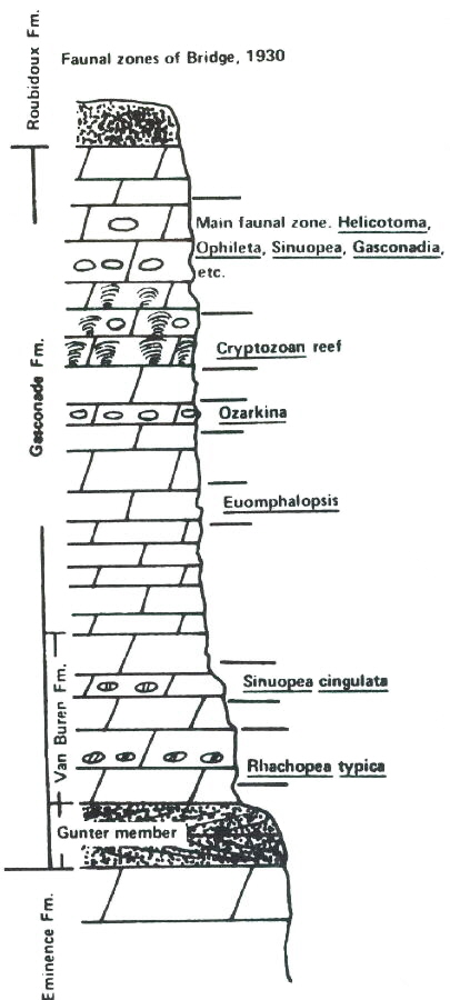 Paleontological zones Ordovician