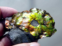 Ammolite (foil)