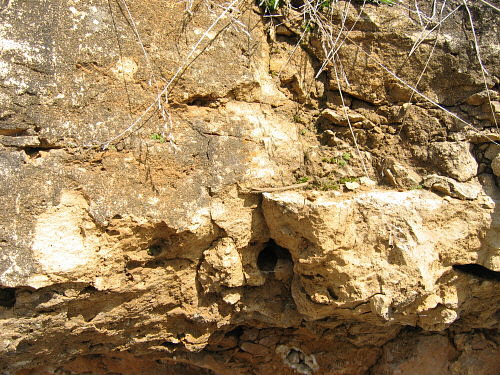 argillaceous coarse dolomite