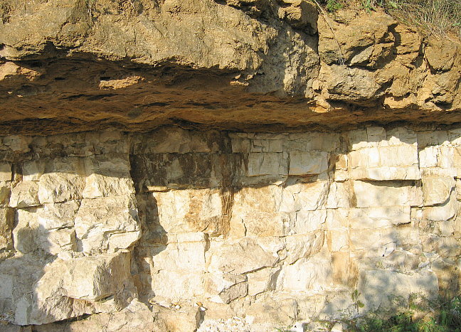Contact of base of Gzhelian strata